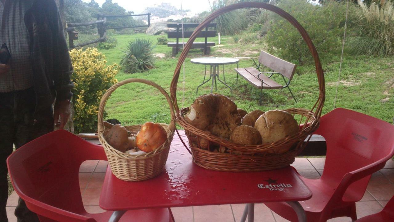 El Majano Guest House Montánchez Екстериор снимка